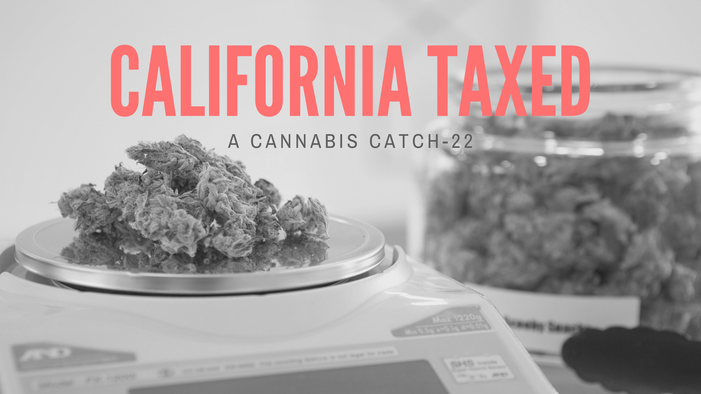 Cannabis Taxes in Costa Mesa California FlowerHire