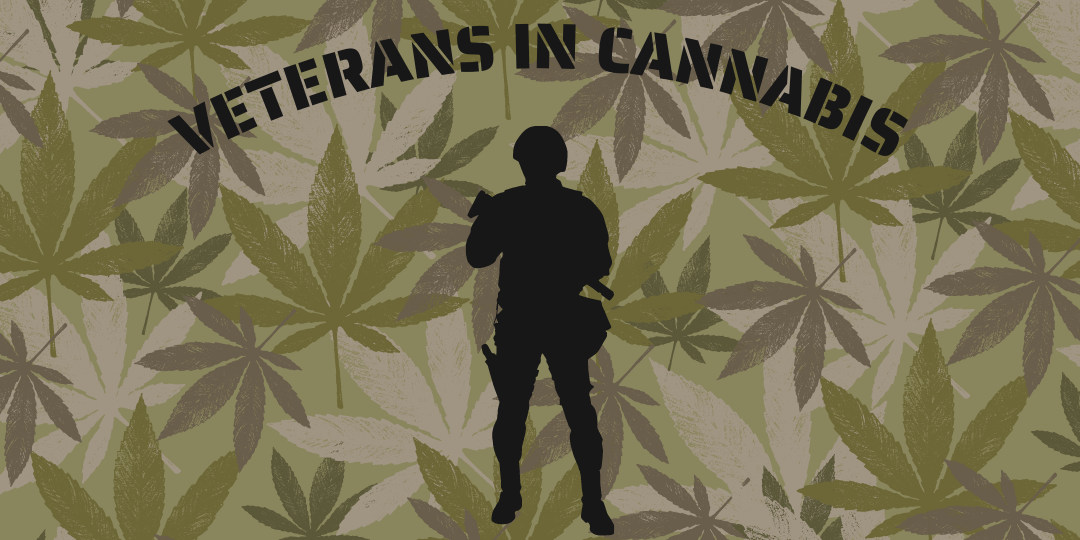 Veterans in Cannabis (17)