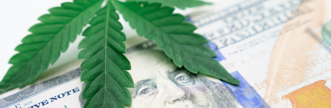 cannabis leaf and money for FlowerHire blog