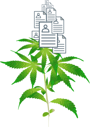 cannabis flowertop of resumes