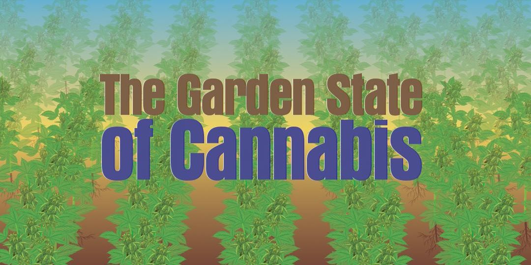 the garden state of cannabis new jersey flowerhire blog