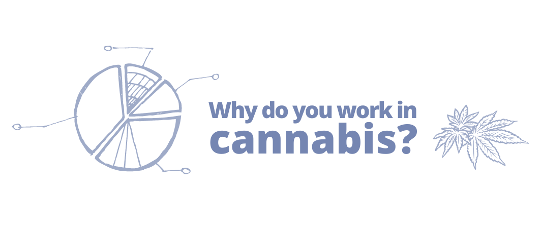 why work in cannabis for FlowerHire blog