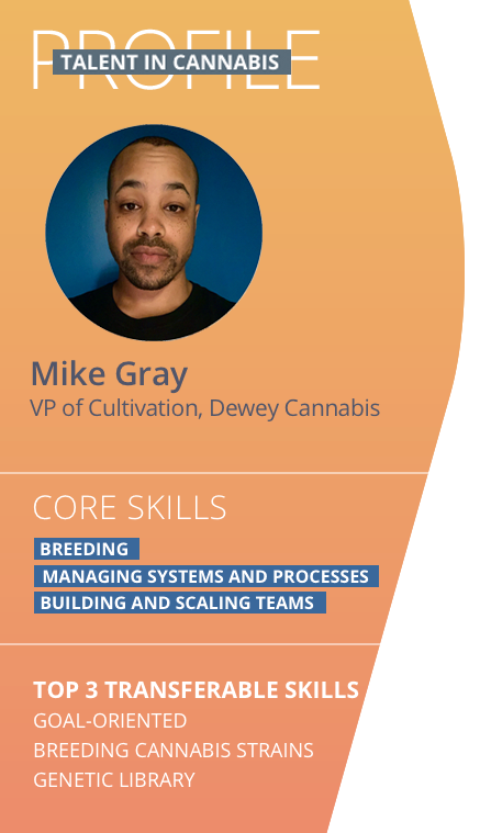 talent in cannabis profile mike gray for flowerhire blog