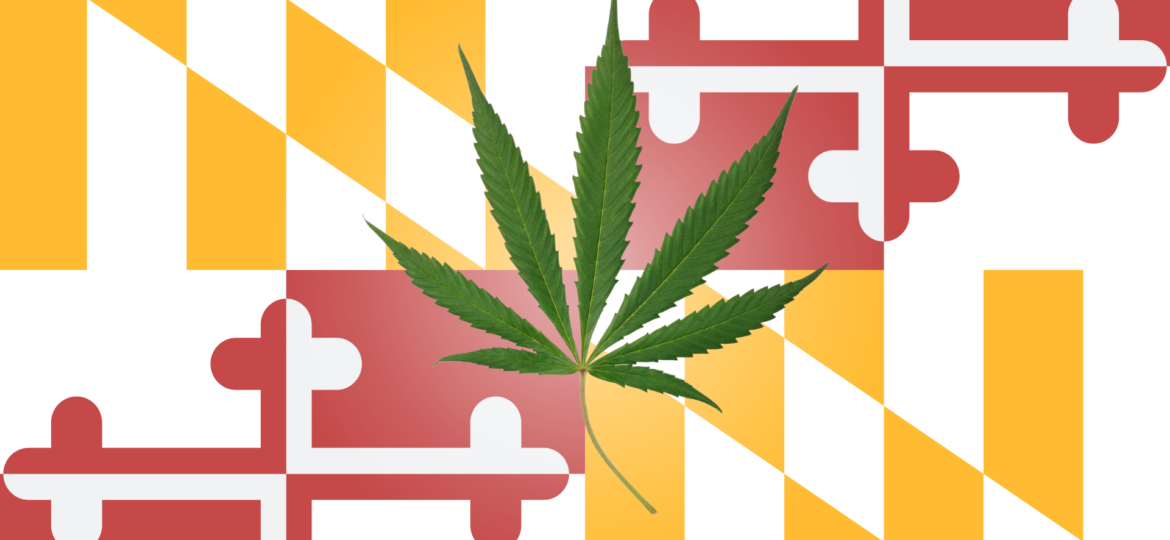 Maryland Cannabis industry updates Flowerhire