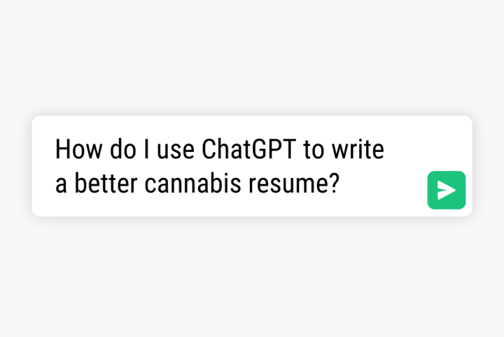 How to write a cannabis resume - 1 Thegem Blog Timeline Large 