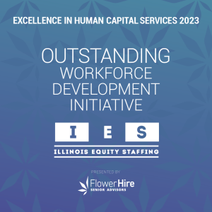 IES HR excellence in human capital services award