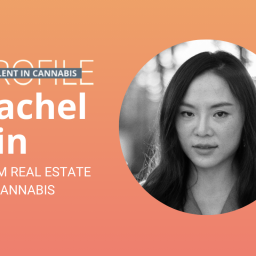 Talent in cannabis eith Rachel Xin